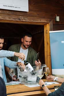 Festival vína VOC Znojmo